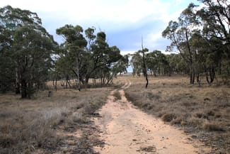 Rural / Farming commercial property sold at 397 Rothlyn Road Chakola NSW 2630 Rural / Farming commercial property sold at 397 Rothlyn Road Chakola NSW 2630