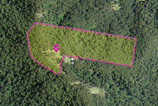 Rural / Farming commercial property for sale at 8/ Old Coach Road Termeil NSW 2539 Rural / Farming commercial property for sale at 8/ Old Coach Road Termeil NSW 2539