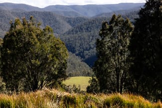 Rural / Farming commercial property sold at 214 Eaglehawk Trail Yarrowitch NSW 2354 Rural / Farming commercial property sold at 214 Eaglehawk Trail Yarrowitch NSW 2354