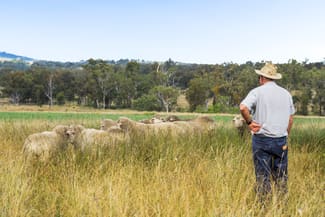 Rural / Farming commercial property sold at "Linallie" 2263 Greenup Limevale Road Brush Creek QLD 4387 Rural / Farming commercial property sold at "Linallie" 2263 Greenup Limevale Road Brush Creek QLD 4387