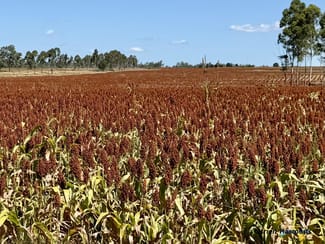 Rural / Farming commercial property for sale at Lot 2 Reedy Creek Road Benair QLD 4610
