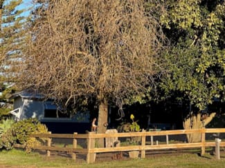 Rural / Farming commercial property sold at 241 Greenfields Road Benjinup WA 6255 Rural / Farming commercial property sold at 241 Greenfields Road Benjinup WA 6255