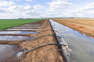 Rural / Farming commercial property for sale at Glenn Road Coleambally NSW 2707