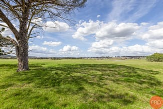 Rural / Farming commercial property for sale at Anambah NSW 2320