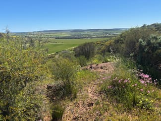 Rural / Farming commercial property for sale at 9500 Chapman Valley Road Narra Tarra WA 6532 Rural / Farming commercial property for sale at 9500 Chapman Valley Road Narra Tarra WA 6532