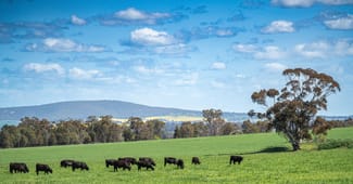 Rural / Farming commercial property for sale at 341 Reynella Road Walbundrie NSW 2642 Rural / Farming commercial property for sale at 341 Reynella Road Walbundrie NSW 2642