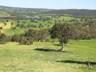 Rural / Farming commercial property sold at The Breakaway, Great Northern Highway Bindoon WA 6502 Rural / Farming commercial property sold at The Breakaway, Great Northern Highway Bindoon WA 6502
