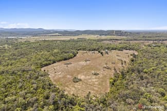 Rural / Farming commercial property for sale at 163 Druces Road Woodbury QLD 4703