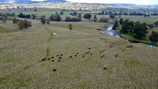 Rural / Farming commercial property sold at 955 "Wirringulla" Coulsons Creek Road Merriwa NSW 2329 Rural / Farming commercial property sold at 955 "Wirringulla" Coulsons Creek Road Merriwa NSW 2329