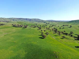 Rural / Farming commercial property for sale at Holbrook NSW 2644