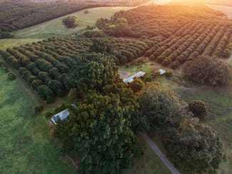 Rural / Farming commercial property for sale at 241 Alcorn Road Knockrow NSW 2479