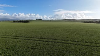 Rural / Farming commercial property for sale at 'Crystal Valley' Talbots Road Crystal Brook SA 5523 Rural / Farming commercial property for sale at 'Crystal Valley' Talbots Road Crystal Brook SA 5523
