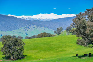 Rural / Farming commercial property sold at Lot 1 Murray Valley Highway Towong Upper VIC 3707