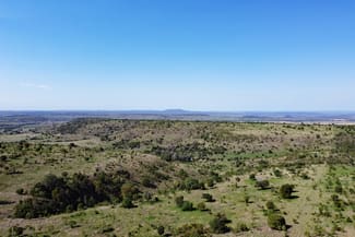 Rural / Farming commercial property sold at Thangool QLD 4716
