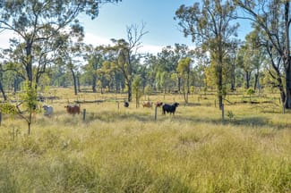 Rural / Farming commercial property sold at 515 Coleyville Road Coleyville QLD 4307 Rural / Farming commercial property sold at 515 Coleyville Road Coleyville QLD 4307
