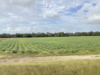 Rural / Farming commercial property for sale at 2/ Oakenden Sarina Road Oakenden QLD 4741