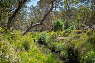 Rural / Farming commercial property sold at Lot 101 Lucks Lane Lerida Via Gunning NSW 2581 Rural / Farming commercial property sold at Lot 101 Lucks Lane Lerida Via Gunning NSW 2581
