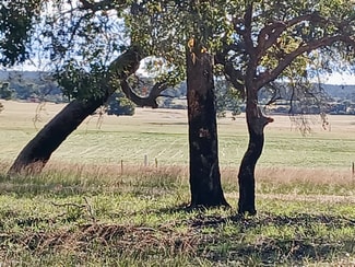 Rural / Farming commercial property for sale at 1271 Dobaderry Road York WA 6302 Rural / Farming commercial property for sale at 1271 Dobaderry Road York WA 6302