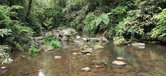 Rural / Farming commercial property for sale at 9 Middlebrook Rd Millaa Millaa QLD 4886 Rural / Farming commercial property for sale at 9 Middlebrook Rd Millaa Millaa QLD 4886