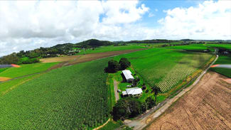 Rural / Farming commercial property for sale at 84 Harvisons Road Erakala QLD 4740