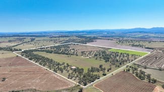 Rural / Farming commercial property sold at 1070 Top Somerton Road Attunga NSW 2345 Rural / Farming commercial property sold at 1070 Top Somerton Road Attunga NSW 2345