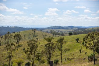Rural / Farming commercial property sold at 'Hutton' 295 Schnitzerling Road Thane QLD 4370