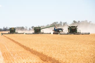 Rural / Farming commercial property for sale at Talbra Aggregation, Back Peak Hill Road Tullamore NSW 2874