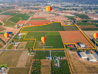Rural / Farming commercial property for sale at 72 Murray Road Yoogali NSW 2680 Rural / Farming commercial property for sale at 72 Murray Road Yoogali NSW 2680