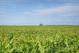 Rural / Farming commercial property sold at Murrami Road Murrami NSW 2705