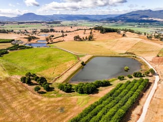 Rural / Farming commercial property for sale at 110 Trickett Road Needles TAS 7304