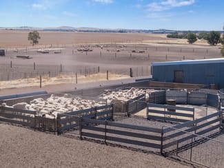 Rural / Farming commercial property sold at 'Merilden Feedlot' Bowmans Road Manoora SA 5414 Rural / Farming commercial property sold at 'Merilden Feedlot' Bowmans Road Manoora SA 5414