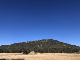 Rural / Farming commercial property for sale at 1447 Gresford Road Vacy NSW 2421 Rural / Farming commercial property for sale at 1447 Gresford Road Vacy NSW 2421