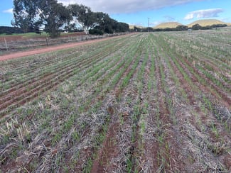 Rural / Farming commercial property for sale at Lot 1 Giles Road Moonyoonooka WA 6532 Rural / Farming commercial property for sale at Lot 1 Giles Road Moonyoonooka WA 6532