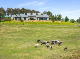 Rural / Farming commercial property for sale at 500 Portland Sunny Corner Road Portland NSW 2847 Rural / Farming commercial property for sale at 500 Portland Sunny Corner Road Portland NSW 2847