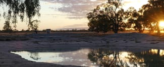 Rural / Farming commercial property for sale at Warren NSW 2824 Rural / Farming commercial property for sale at Warren NSW 2824