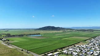 Rural / Farming commercial property for sale at 132 Stayts Road Marian QLD 4753