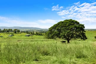 Rural / Farming commercial property for sale at 675 Pines Road Edenville NSW 2474 Rural / Farming commercial property for sale at 675 Pines Road Edenville NSW 2474