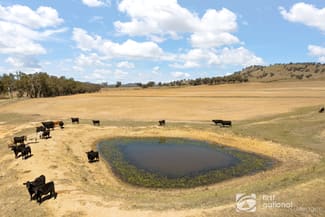 Rural / Farming commercial property for sale at 365 Erudgere Lane Mudgee NSW 2850