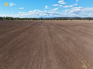 Rural / Farming commercial property sold at MCKENZIES/149 Henriendi Lane Baan Baa NSW 2390 Rural / Farming commercial property sold at MCKENZIES/149 Henriendi Lane Baan Baa NSW 2390
