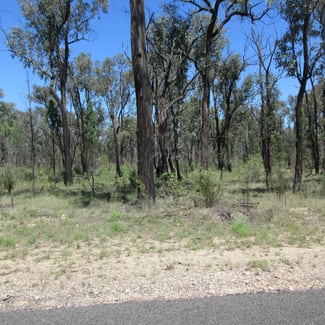 Rural / Farming commercial property for sale at Lot 6 Wallaby Track Tara QLD 4421