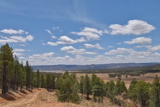 Rural / Farming commercial property sold at 318 Tara Road MUMBIL via Wellington NSW 2820