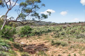 Rural / Farming commercial property for sale at 'Ferguson' Philps Road Minvalara SA 5422