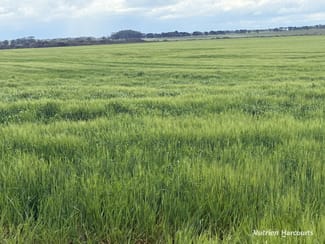 Rural / Farming commercial property for sale at Lot 12 Bates Road Monjingup WA 6450 Rural / Farming commercial property for sale at Lot 12 Bates Road Monjingup WA 6450