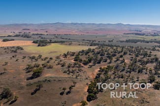 Rural / Farming commercial property for sale at Oaklands Road Dutton SA 5356