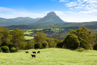 Rural / Farming commercial property for sale at 96 Coxs Road Sherwood NSW 2474
