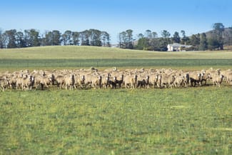 Rural / Farming commercial property for sale at 7651 Monaro Highway Cooma NSW 2630 Rural / Farming commercial property for sale at 7651 Monaro Highway Cooma NSW 2630
