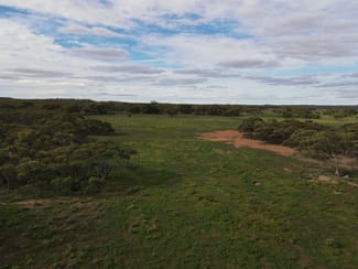 Rural / Farming commercial property for sale at Pine Creek Road Parnaroo SA 5422