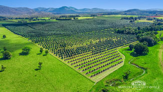 Rural / Farming commercial property for sale at 46 Hughes Road Upper Barron QLD 4883
