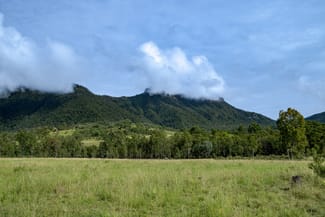 Rural / Farming commercial property for sale at 2 Ryan Road Tarome QLD 4309 Rural / Farming commercial property for sale at 2 Ryan Road Tarome QLD 4309
