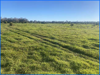 Rural / Farming commercial property for sale at Lot 58 Rankin Springs Road Lake Cargelligo NSW 2672 Rural / Farming commercial property for sale at Lot 58 Rankin Springs Road Lake Cargelligo NSW 2672